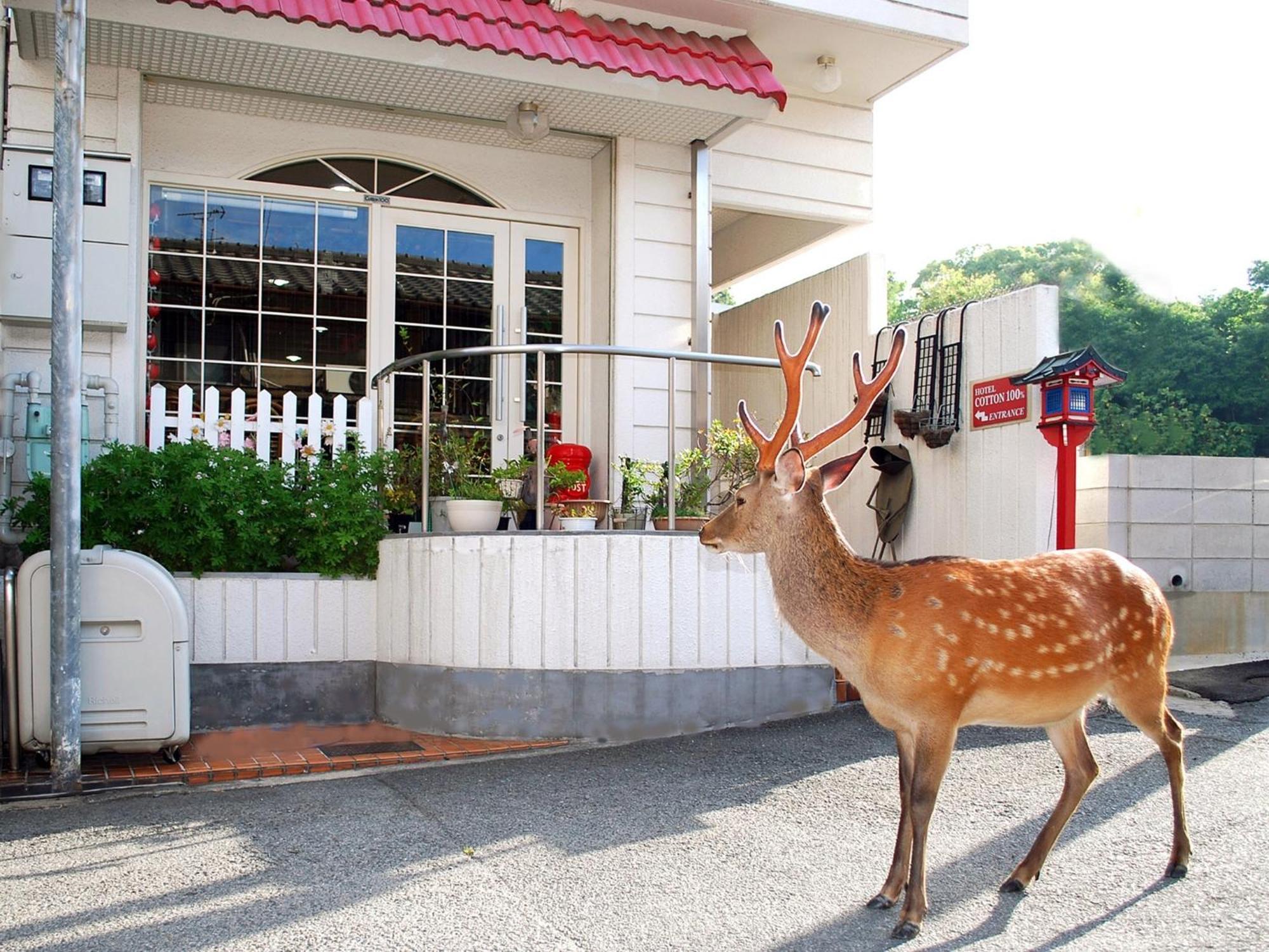 Nara - Hotel / Vacation Stay 47950 외부 사진